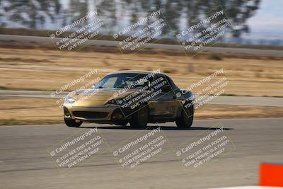 media/Nov-16-2024-CalClub SCCA (Sat) [[641f3b2761]]/Group 4/Grid and Front Straight/